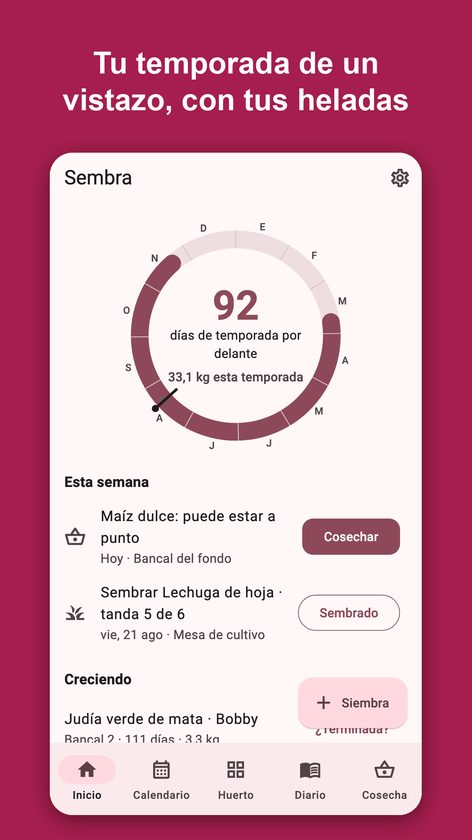 Sembra: diario del huerto
