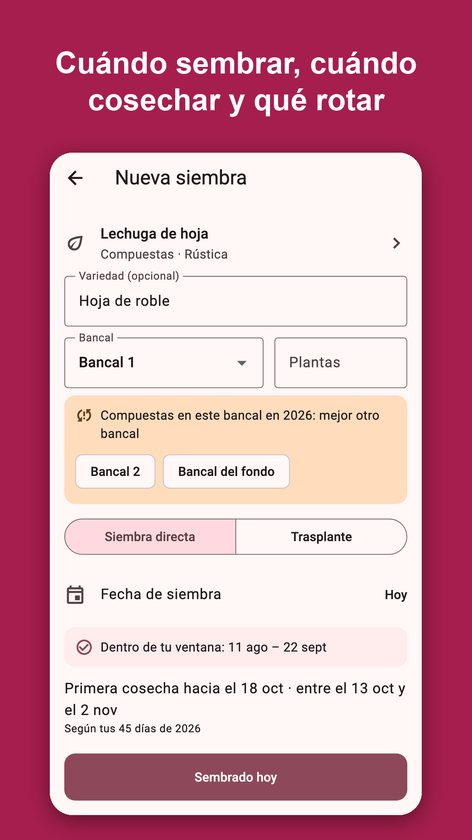 Sembra: diario del huerto