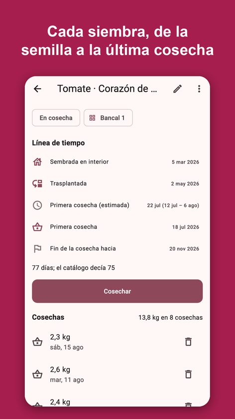 Sembra: diario del huerto
